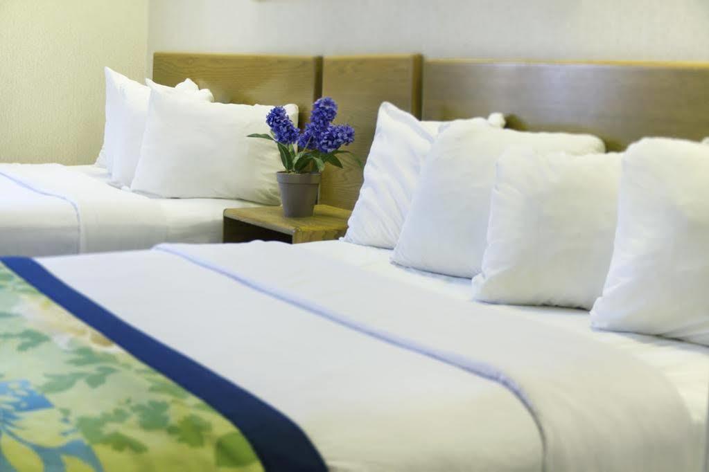 Hampton Inn & Suites-Asheville Biltmore Village, Nc Dış mekan fotoğraf